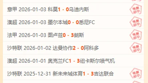 辛纳澳网击败贾里，再创跨年连胜佳绩