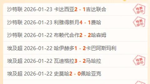 梅州客家半场领先山东队，茹子楠、罗德里戈、杨超声各展神技