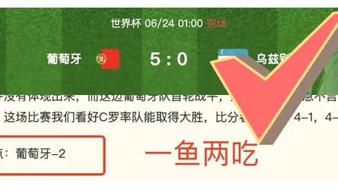 2026年篮球盛，杏彩娱乐平台，宴韩国日本对决，总分预测指南